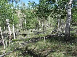Kasihta Trl, Hartsel, CO 80449