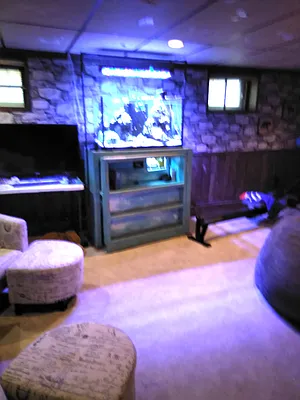 Rented by Living New York | media 13