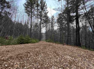 1 Berrie Ln, Townshend, VT 05353