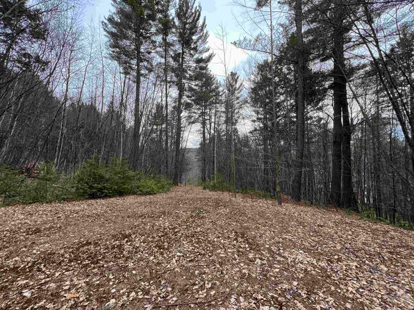 1 Berrie Lane, Townshend, VT 05353