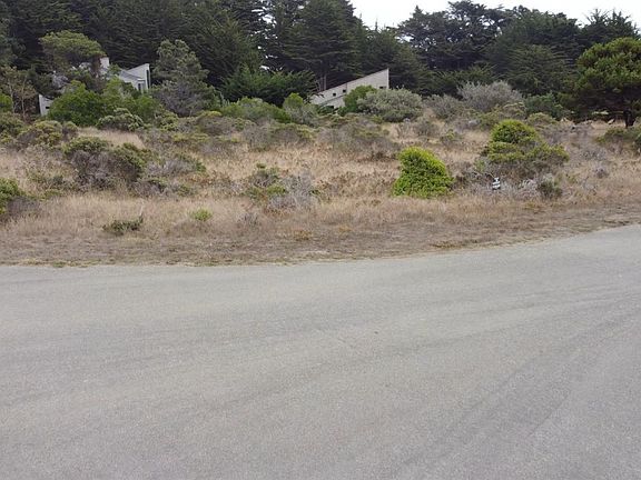 4th image of 74 Burl Tree