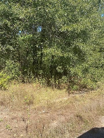 2nd image of 1446 Cardinal Rd