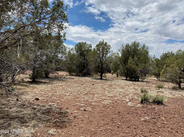 407 W MESA Drive #22, Ash Fork, AZ 86320
