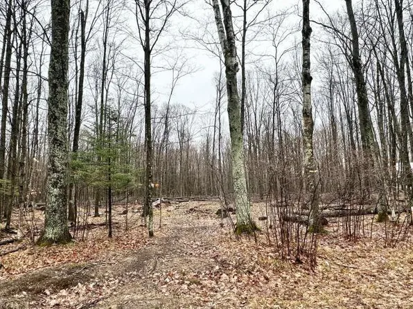 4.3 Acres COUNTY ROAD DD, WI 54465