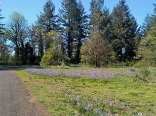 11910 170th Ave SW, Rochester, WA 98579