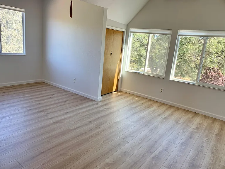 16838 Lively Wood Ln — Photo 7