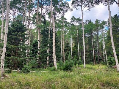 3079 Henderson Drive, Fort Garland, CO, 81133