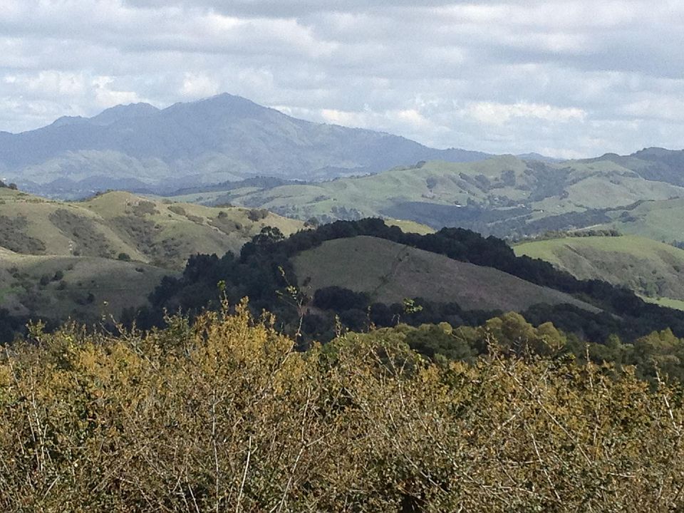 View looking East toward Mt. Diablo.
