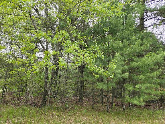 5th image of LOT 38 S Badger Ln