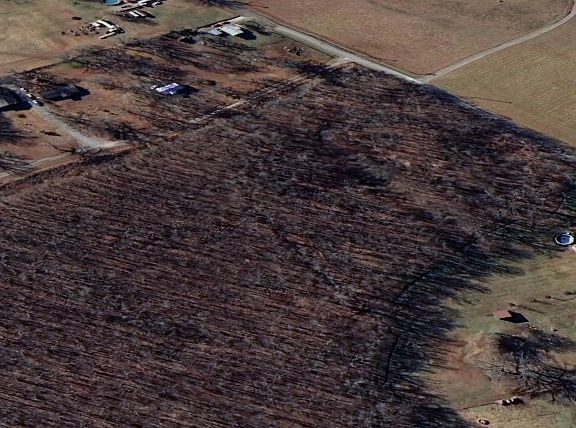 4th image of 0 Hutchins Ln