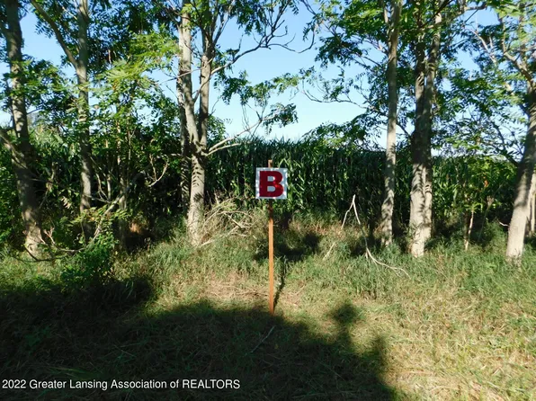 NULLB Ives Rd, Mason, MI 48854