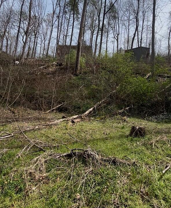 1st image of 341 Silverbell Ln Lot 0