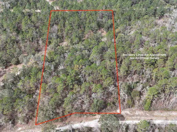 Vacant Ne Chervil Dr, Lee, FL 32059