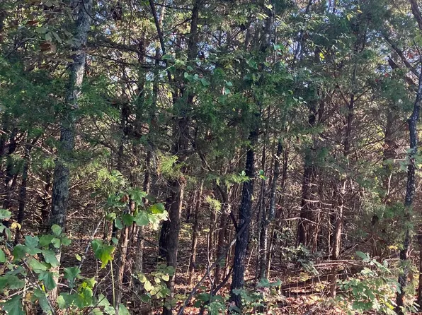 Byhalia Trl, Ash Flat, AR 72513