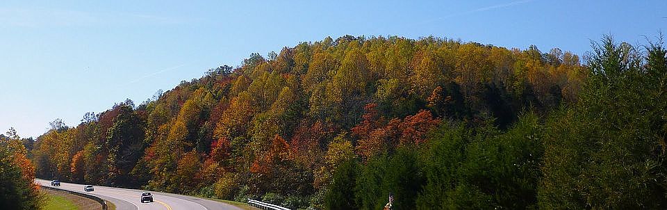The homestead hill