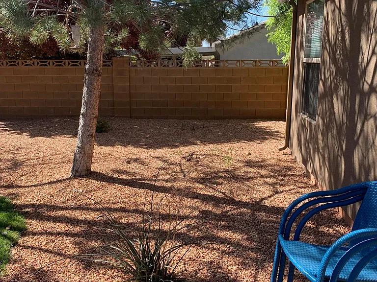 Back yard