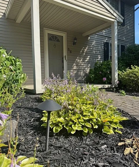 56 Tree Brook Dr — Photo 2