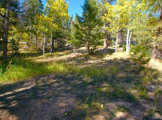30589 Hood Road, Conifer, CO 80433
