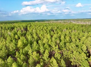 1 Putnam Rd, Pickens, MS 39146