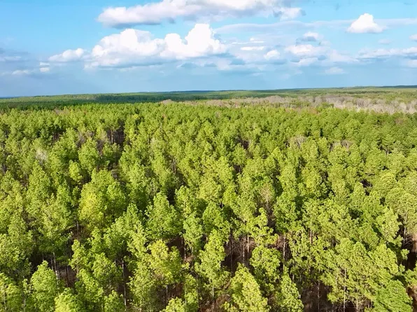 1 Putnam Rd, Pickens, MS 39146