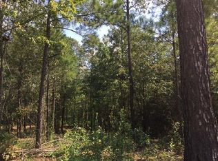 205 Tuxedo Cir, Forsyth, GA 31029