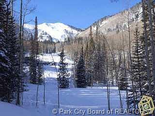 2nd image of 91 White Pine Canyon Rd #90