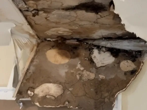 27 Leo Pl #2, Newark City, NJ 07108