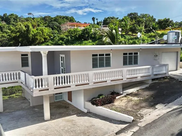 Carr 183 Sect Miguel Ramirez, Las Piedras, PR 00771