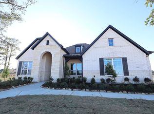 21703 Hibiscus Hedge Trl, Hockley, TX 77447