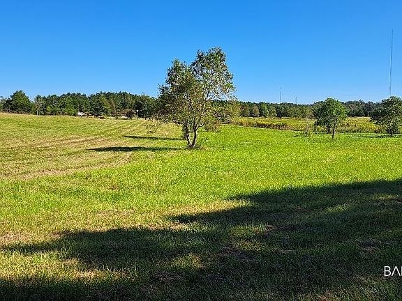 3rd image of 24264 Cowpen Creek Rd