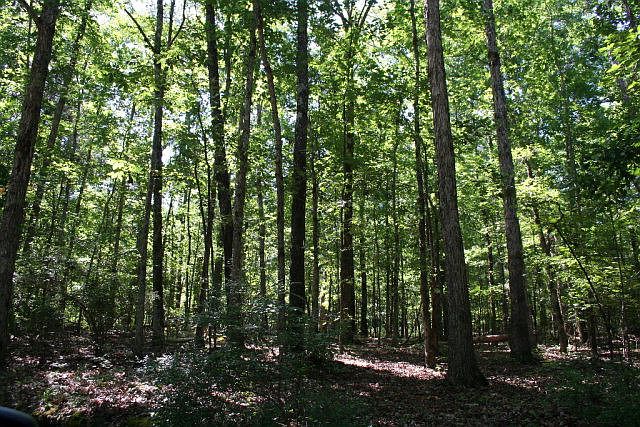 1st image of Lot B-3 Elijah Clark Drive