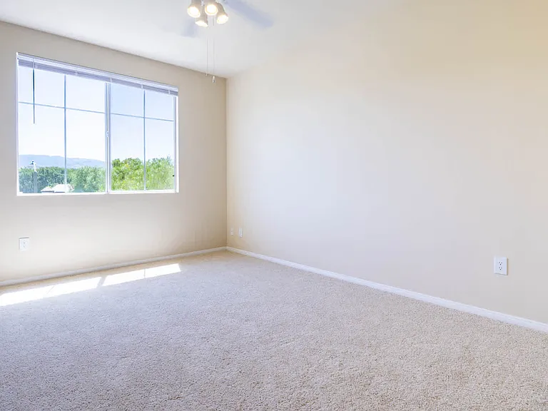 Carpeted Bedroom