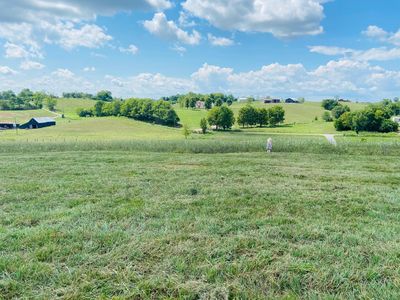 1073 White Turley Rd, Winchester, KY, 40391