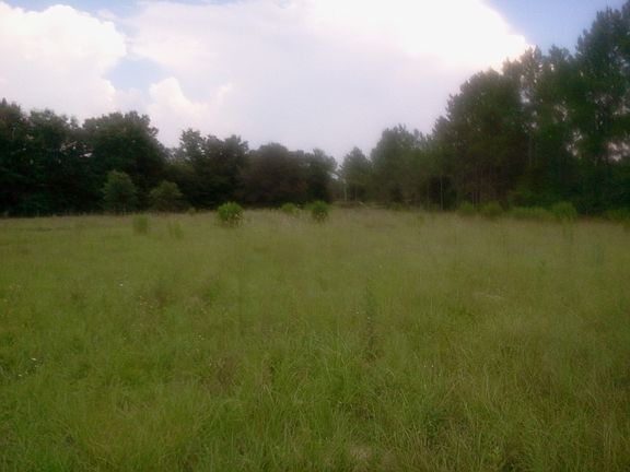 view of 2.5 acres site