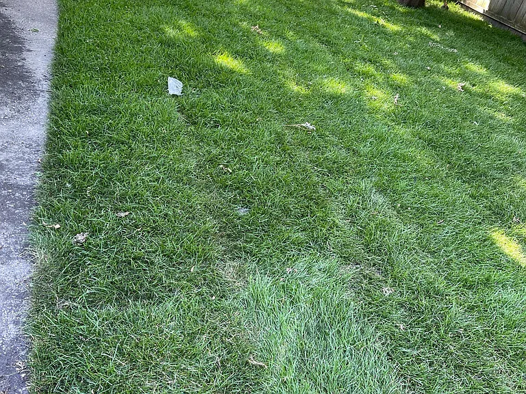 2013 Maple Ave — Photo 12