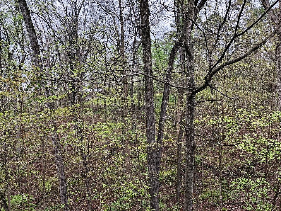 View from back deck