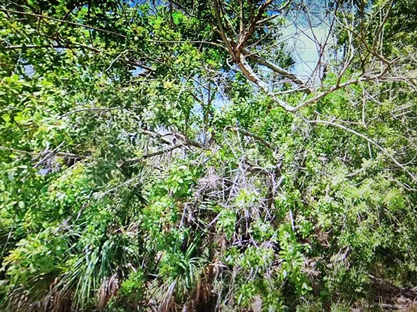 0 Dingus Ln Lot 70, Hudson, FL 34667