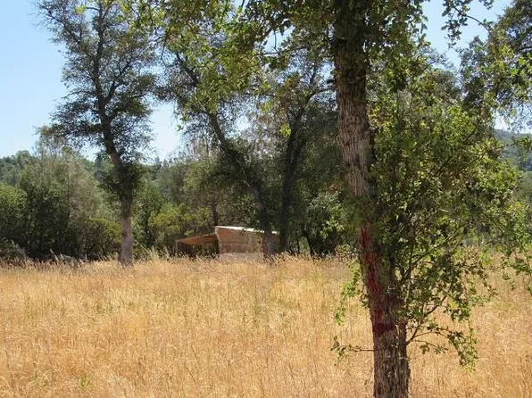 Italian Bar Rd, Columbia, CA 95310