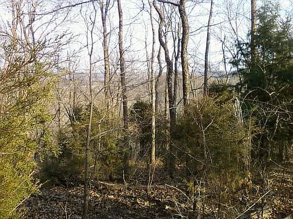 1st image of 3925 Stevens Ln
