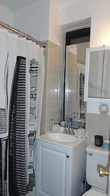 Rented by Manhattan Flats | media 9