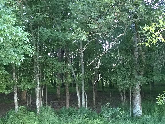 5th image of 1020 County Road 125