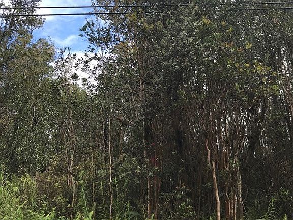 4th image of Plumeria St Lot 6295