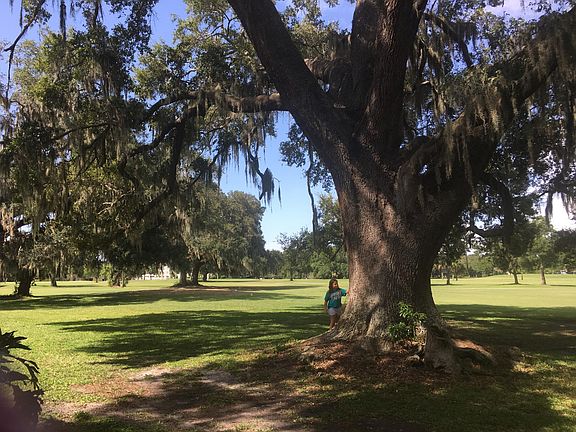 A Golfer's Paradise