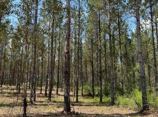 PARCEL Old River Rd #H, Moselle, MS 39459