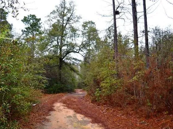 15370 Morgan Ln N, Wilmer, AL 36587