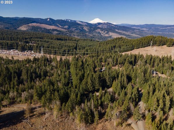 1311 Lacock Kelchner Rd, Underwood, WA 98651