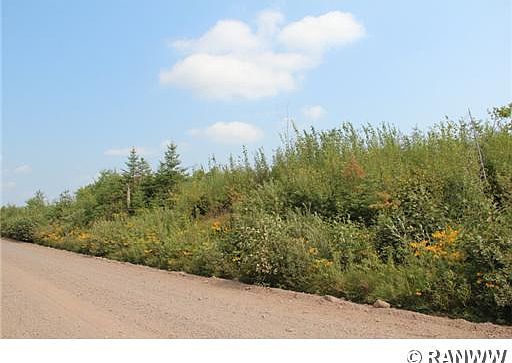 5th image of 0 Roddis Line Road