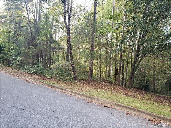4th image of 5112 Orchard Ln
