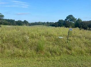 12 Governor Run Dr, Lamar, SC 29069