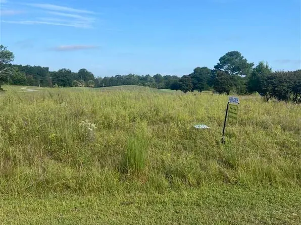 12 Governor Run Dr, Lamar, SC 29069